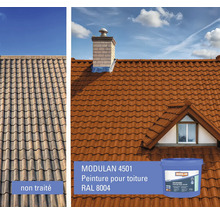 Vue avant-après d'un toit peint avec la peinture pour toit Modulan 4501