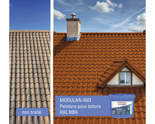 Vue avant-après d'un toit peint avec la peinture pour toit Modulan 4501
