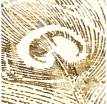 Gros plan d'un motif de papier peint avec une plume de paon dans un aspect esquissé sur une surface texturée.