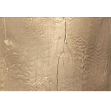 Vue détaillée d une surface texturée avec un effet grain de bois et des fissures visibles.