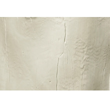 Gros plan d une surface texturée avec des motifs de veinage du bois et des fissures verticales