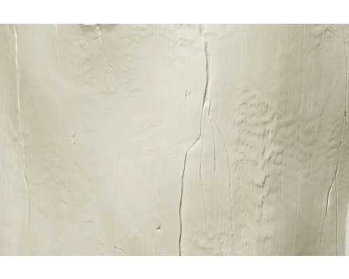 Gros plan d une surface texturée avec des motifs de veinage du bois et des fissures verticales