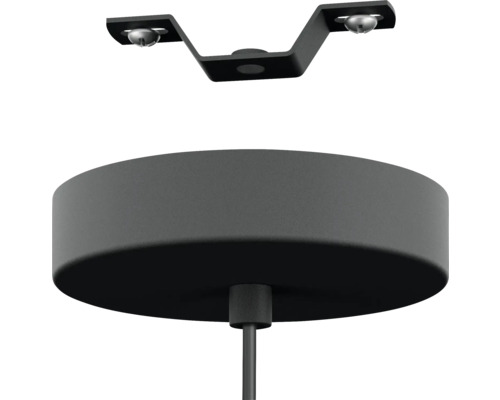 Deckenleuchtenmontage mit Halterung und Deckenbaldachin