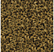 Gros plan de granulés pour poissons