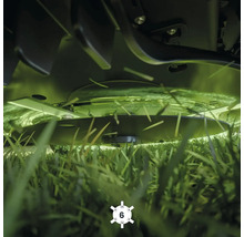 Rasenmäher beim Schneiden von Gras