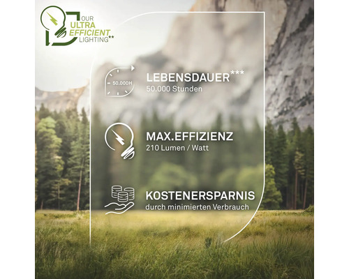 Grafik mit Informationen zu Lebensdauer, maximaler Effizienz und Kosteneinsparungen von Leuchtmitteln