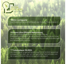 Informations sur l'efficacité énergétique de l'éclairage Ultra Efficient