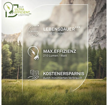 Graphique d'informations sur la durée de vie, l'efficacité et les économies potentielles des sources lumineuses