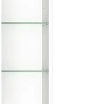 Vue détaillée des tablettes en verre et des supports de tablette dans une armoire blanche.