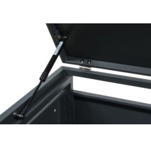 Detailansicht des geöffneten Deckels einer Aufbewahrungsbox mit Gasdruckfeder