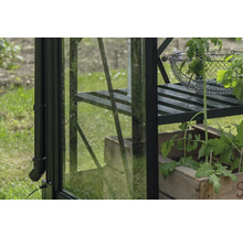 Vue détaillée d'une serre avec des étagères et des plantes