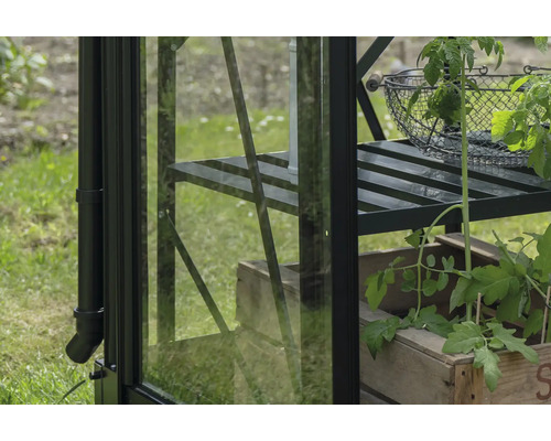 Vue détaillée d'une serre avec des étagères et des plantes