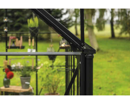 Vue détaillée d'une serre avec des plantes et des outils de jardinage