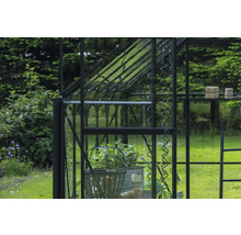 Vue détaillée d'une serre avec des plantes et des accessoires de jardin