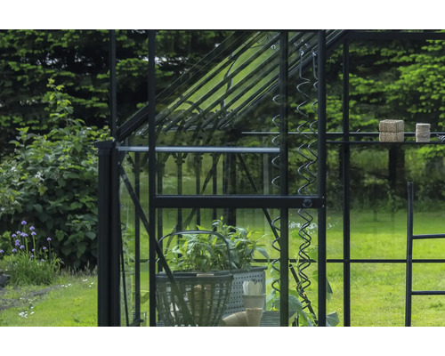 Vue détaillée d'une serre avec des plantes et des accessoires de jardin