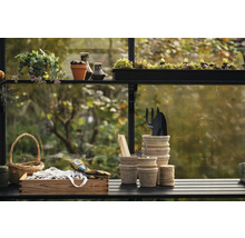 Scène avec des outils de jardinage, des plantes et des décorations dans une serre