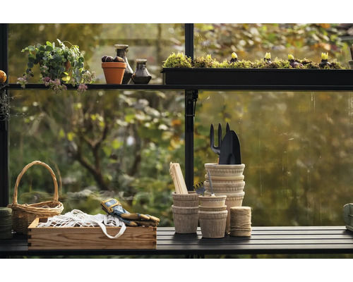 Scène avec des outils de jardinage, des plantes et des décorations dans une serre