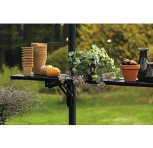 Pots de fleurs, potiron, plante et châtaignes sur une étagère