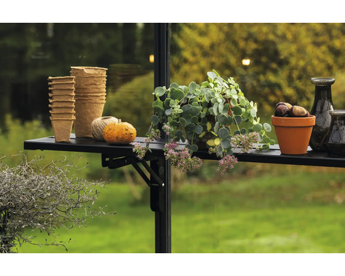 Pots de fleurs, potiron, plante et châtaignes sur une étagère