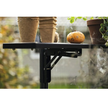 Étagère de serre noire avec pots et potiron
