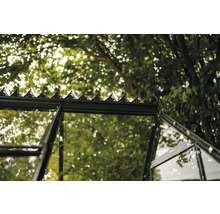 Vue détaillée d'une serre avec fenêtres en verre et faîte décorative