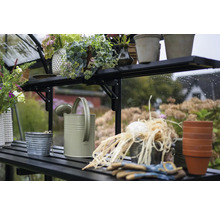 Étagère de serre avec arrosoir, pots de fleurs et accessoires de jardin
