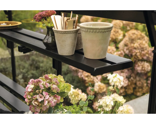 Étagère avec plantes et décoration dans la serre