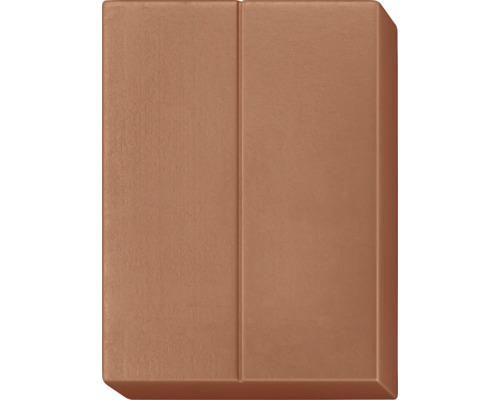 Un insert d'interrupteur d'éclairage marron