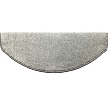 Halbrunde Teppichstufenmatte