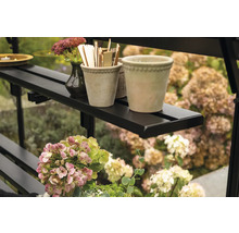 Étagère avec plantes et décoration dans la serre