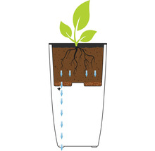 Schéma du système d'arrosage d'un pot de fleurs avec une plante