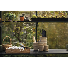 Scène de jardinage avec plantes, outils de jardinage, pots et accessoires sur une table dans la serre.
