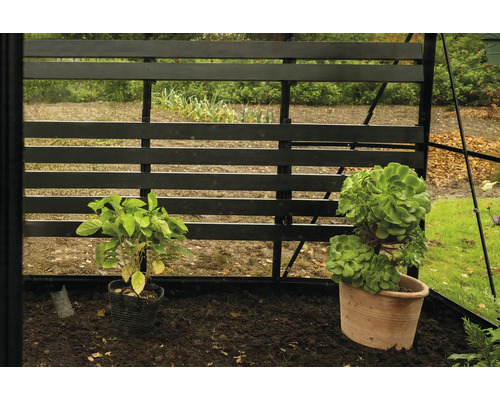 Intérieur de serre avec des plantes en pot devant un treillis en bois noir