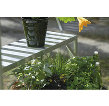 Scène de jardin avec plantes, jardinière, étagère et bouteilles