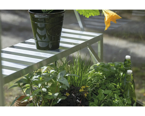 Scène de jardin avec plantes, jardinière, étagère et bouteilles