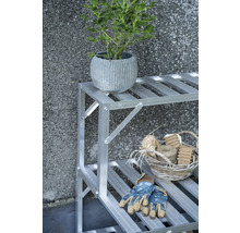 Scène de jardin avec plante en pot sur une étagère avec outils de jardinage.