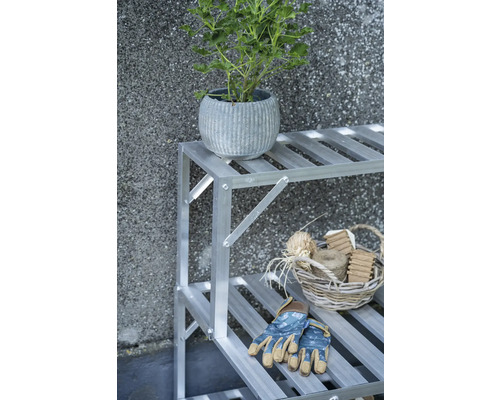 Scène de jardin avec plante en pot sur une étagère avec outils de jardinage.