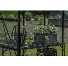 Étagère de serre avec plantes, outils de jardinage et paniers