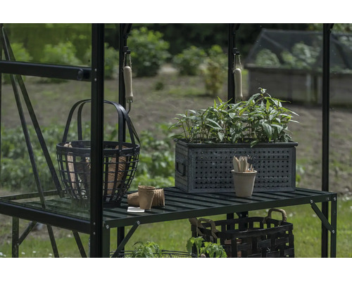 Étagère de serre avec plantes, outils de jardinage et paniers
