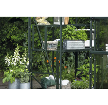 Étagère de serre avec plantes, décorations et accessoires de jardin dans le jardin.