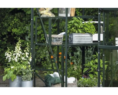 Étagère de serre avec plantes, décorations et accessoires de jardin dans le jardin.