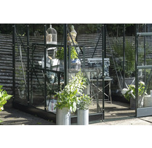 Serre avec étagères, plantes, décorations et mobilier de jardin