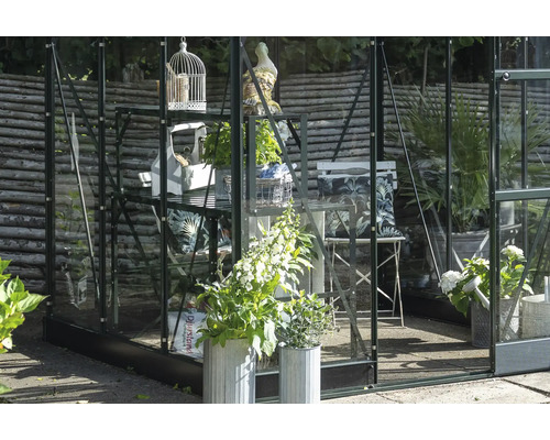 Serre avec étagères, plantes, décorations et mobilier de jardin