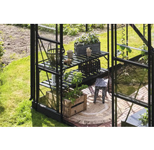 Serre avec étagère à plantes, plantes et outils de jardinage