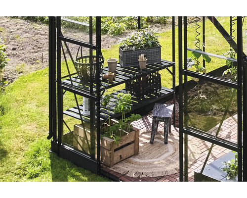Serre avec étagère à plantes, plantes et outils de jardinage