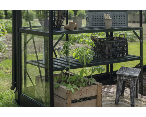 Étagère de serre avec plantes, paniers et accessoires de jardin pour l'intérieur et l'extérieur