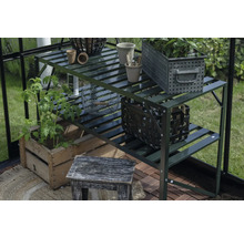 Scène de jardin avec étagère à plantes, plantes et accessoires de jardin dans une serre