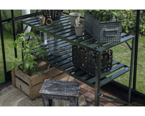 Scène de jardin avec étagère à plantes, plantes et accessoires de jardin dans une serre