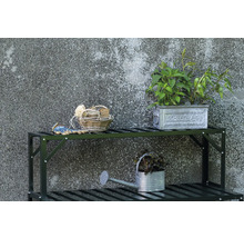 Scène de jardin avec étagère, plantes, arrosoir et accessoires de jardinage