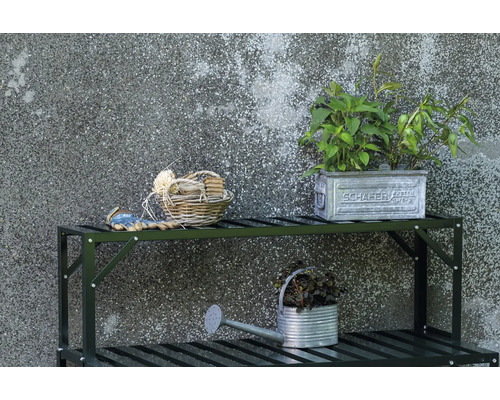 Scène de jardin avec étagère, plantes, arrosoir et accessoires de jardinage